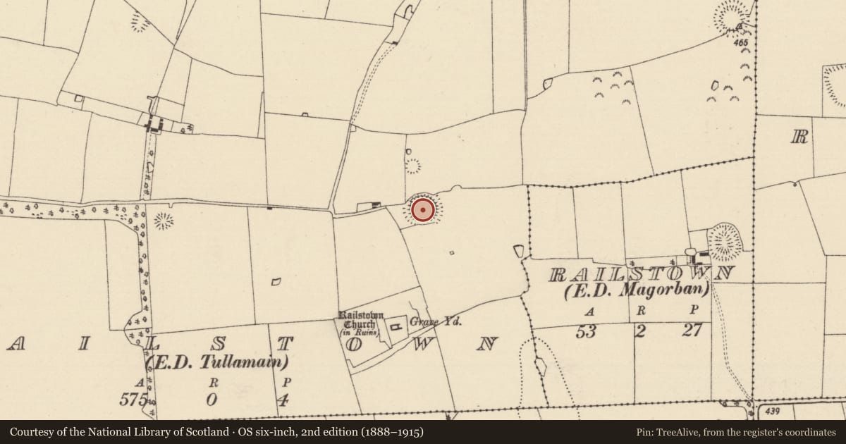 Ordnance Survey six-inch map, 2nd edition (1888–1915) covering the location of Ringfort - rath, Railstown (Railstown Par.), County Tipperary South, with a pin at the register's coordinates