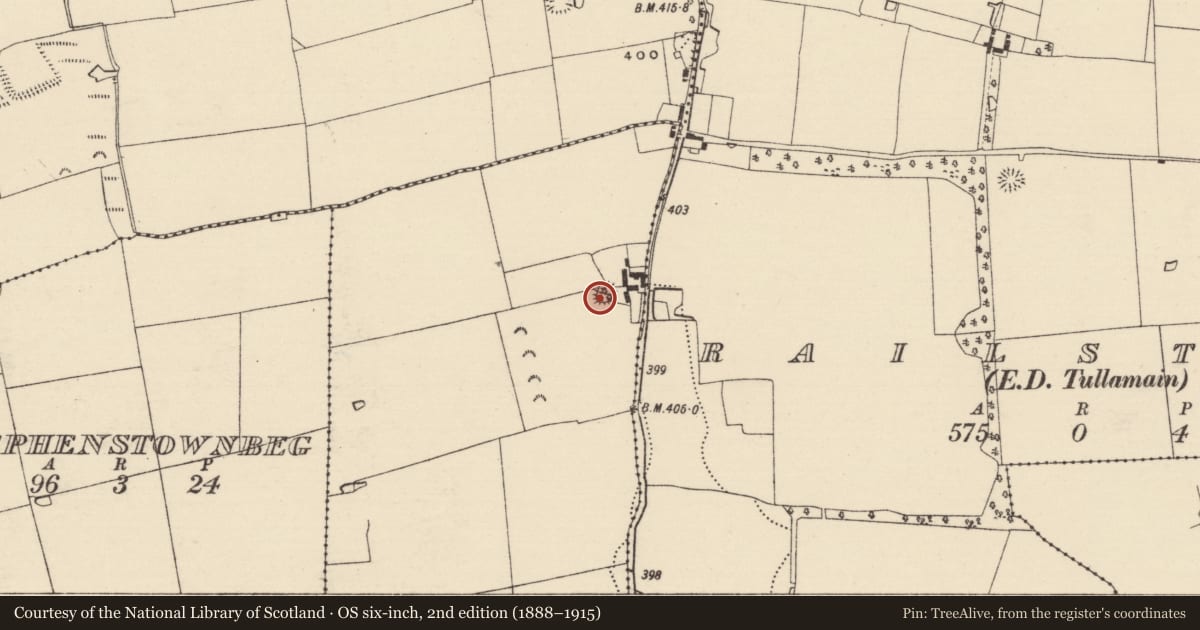 Ordnance Survey six-inch map, 2nd edition (1888–1915) covering the location of Ringfort - rath, Stephenstown, County Tipperary South, with a pin at the register's coordinates