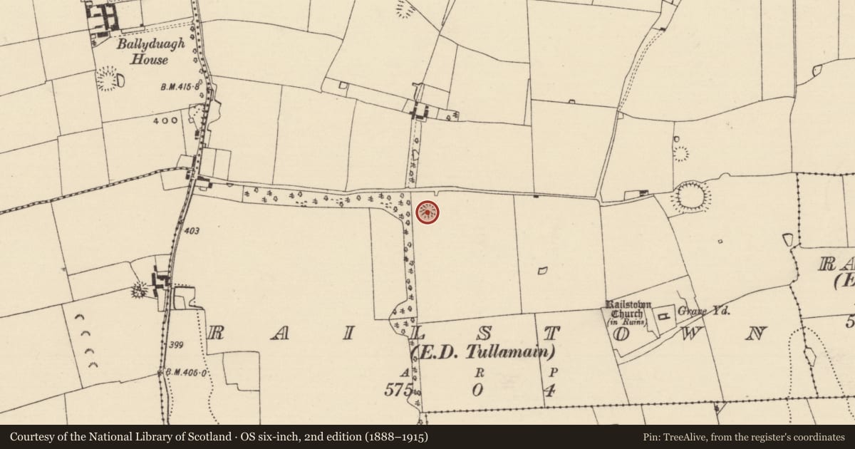 Ordnance Survey six-inch map, 2nd edition (1888–1915) covering the location of Ringfort - rath, Railstown (Railstown Par.), County Tipperary South, with a pin at the register's coordinates