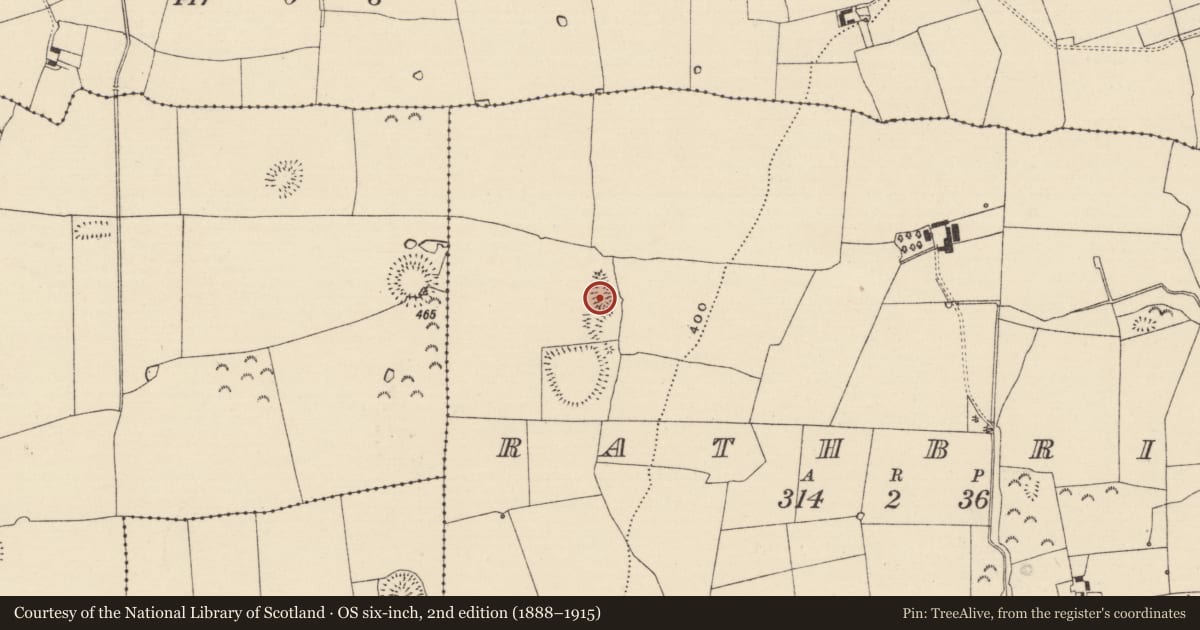 Ordnance Survey six-inch map, 2nd edition (1888–1915) covering the location of Enclosure, Rathbrit, County Tipperary South, with a pin at the register's coordinates