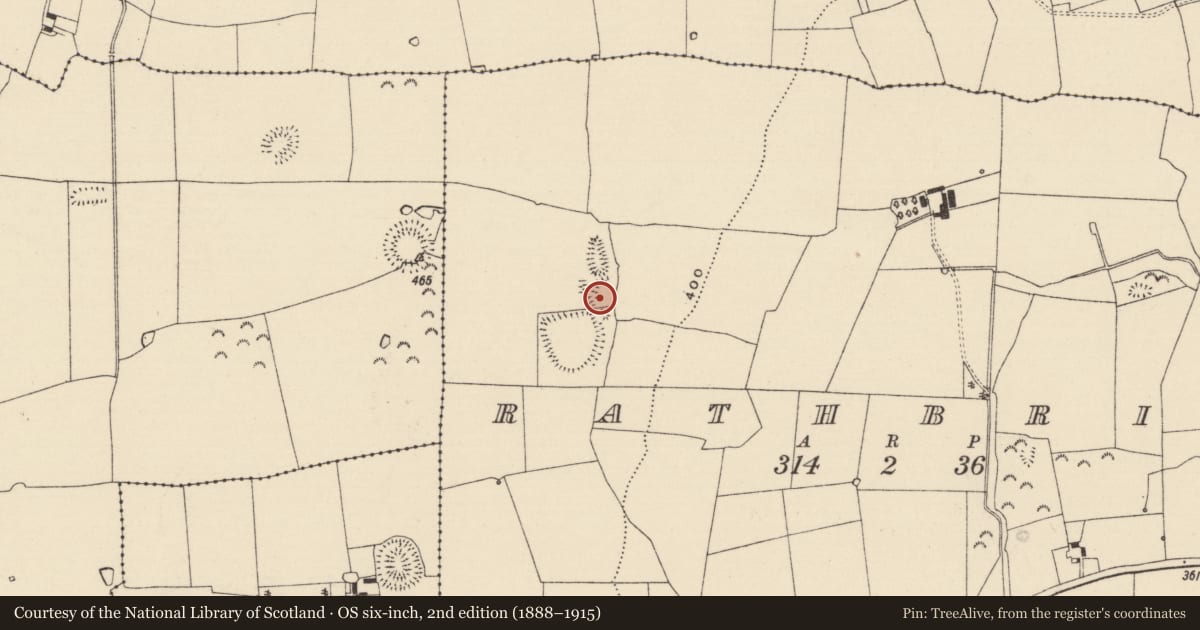 Ordnance Survey six-inch map, 2nd edition (1888–1915) covering the location of Enclosure, Rathbrit, County Tipperary South, with a pin at the register's coordinates