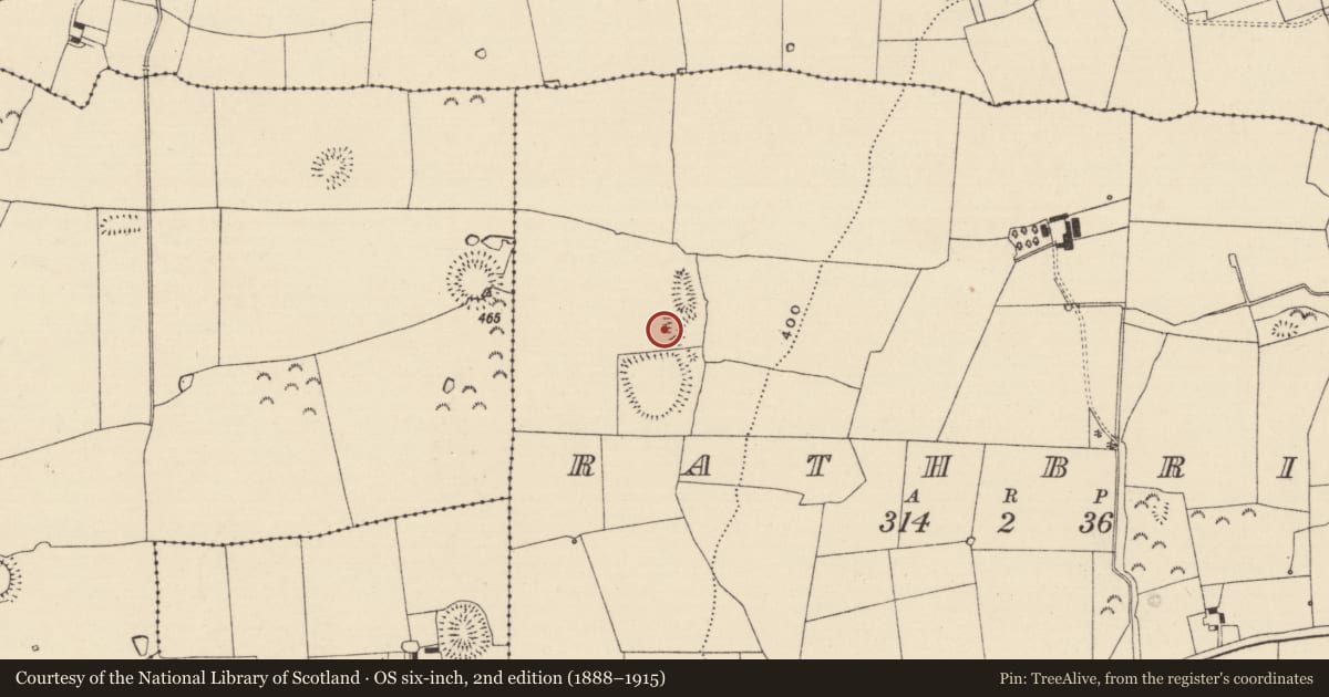 Ordnance Survey six-inch map, 2nd edition (1888–1915) covering the location of Earthwork, Rathbrit, County Tipperary South, with a pin at the register's coordinates