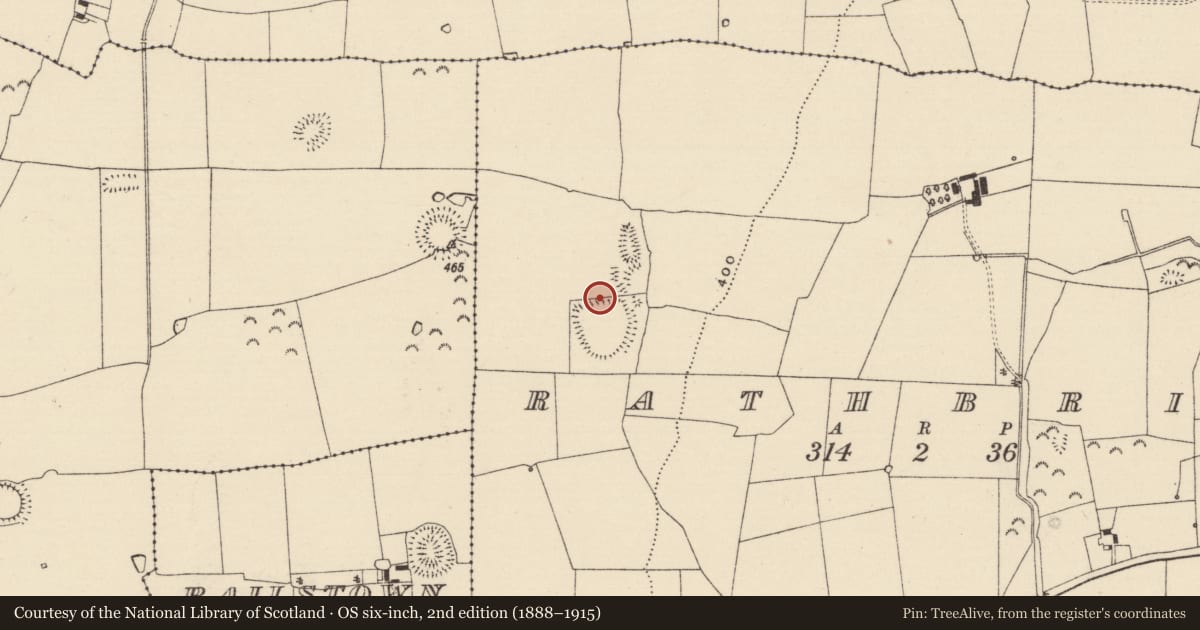 Ordnance Survey six-inch map, 2nd edition (1888–1915) covering the location of Enclosure, Rathbrit, County Tipperary South, with a pin at the register's coordinates