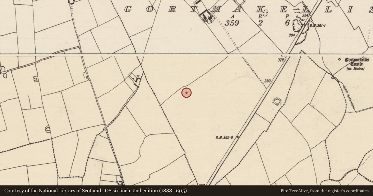 Ordnance Survey six-inch map, 2nd edition (1888–1915) covering the location of Enclosure, Gortmakellis, County Tipperary South, with a pin at the register's coordinates