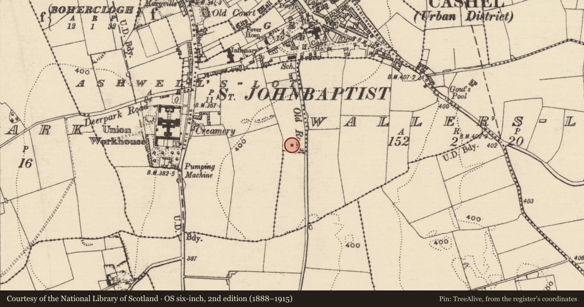 Ordnance Survey six-inch map, 2nd edition (1888–1915) covering the location of Ringfort - rath, Ashwell'S-Lot, Waller'S-Lot, County Tipperary South, with a pin at the register's coordinates