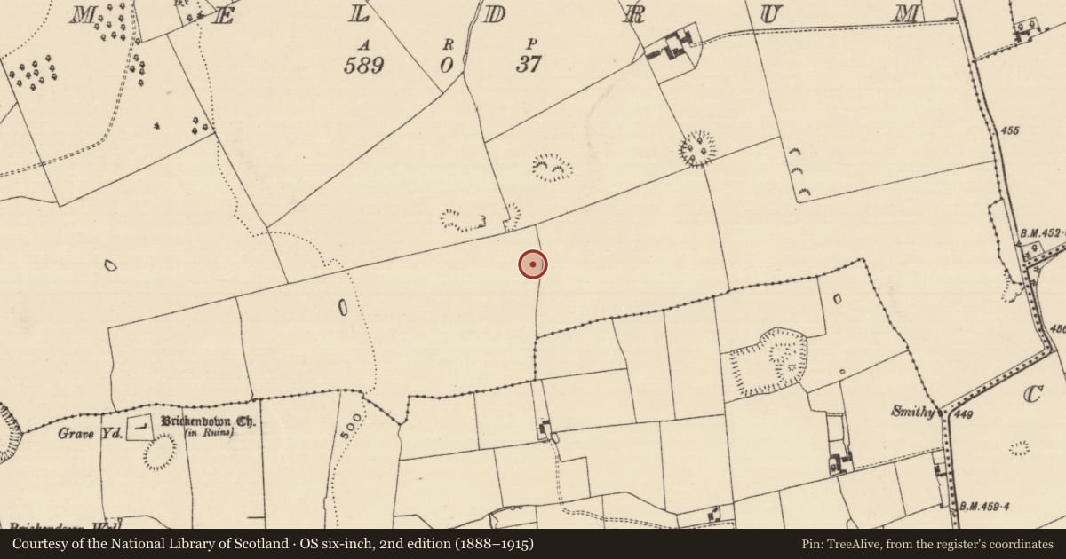 Ordnance Survey six-inch map, 2nd edition (1888–1915) covering the location of Enclosure, Meldrum, County Tipperary South, with a pin at the register's coordinates