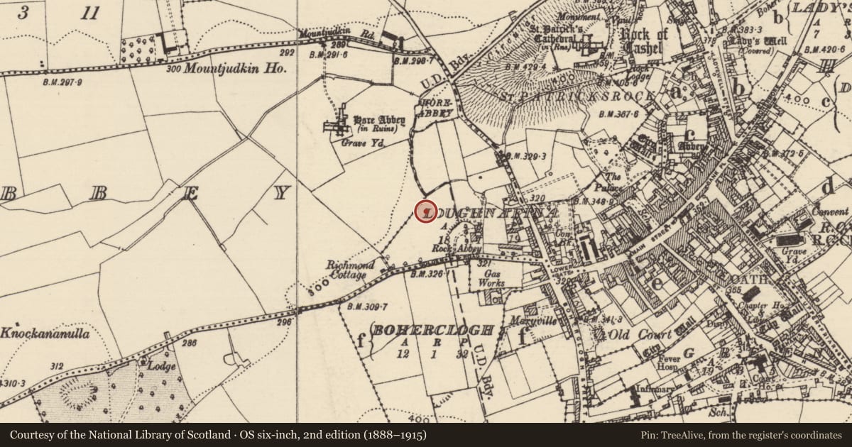Ordnance Survey six-inch map, 2nd edition (1888–1915) covering the location of Mound, Loughnafina, County Tipperary South, with a pin at the register's coordinates