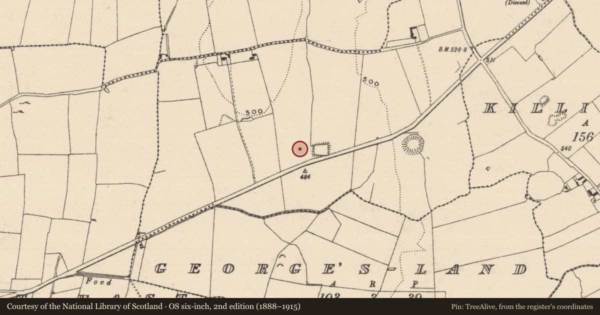 Ordnance Survey six-inch map, 2nd edition (1888–1915) covering the location of Habitation site, Boscabell, County Tipperary South, with a pin at the register's coordinates