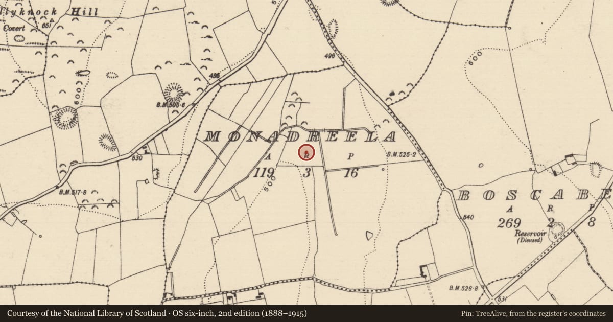 Ordnance Survey six-inch map, 2nd edition (1888–1915) covering the location of Habitation site, Monadreela, County Tipperary South, with a pin at the register's coordinates