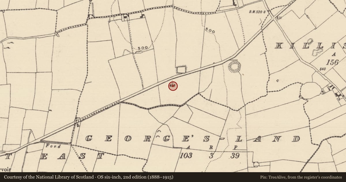 Ordnance Survey six-inch map, 2nd edition (1888–1915) covering the location of Burnt pit, Boscabell, County Tipperary South, with a pin at the register's coordinates
