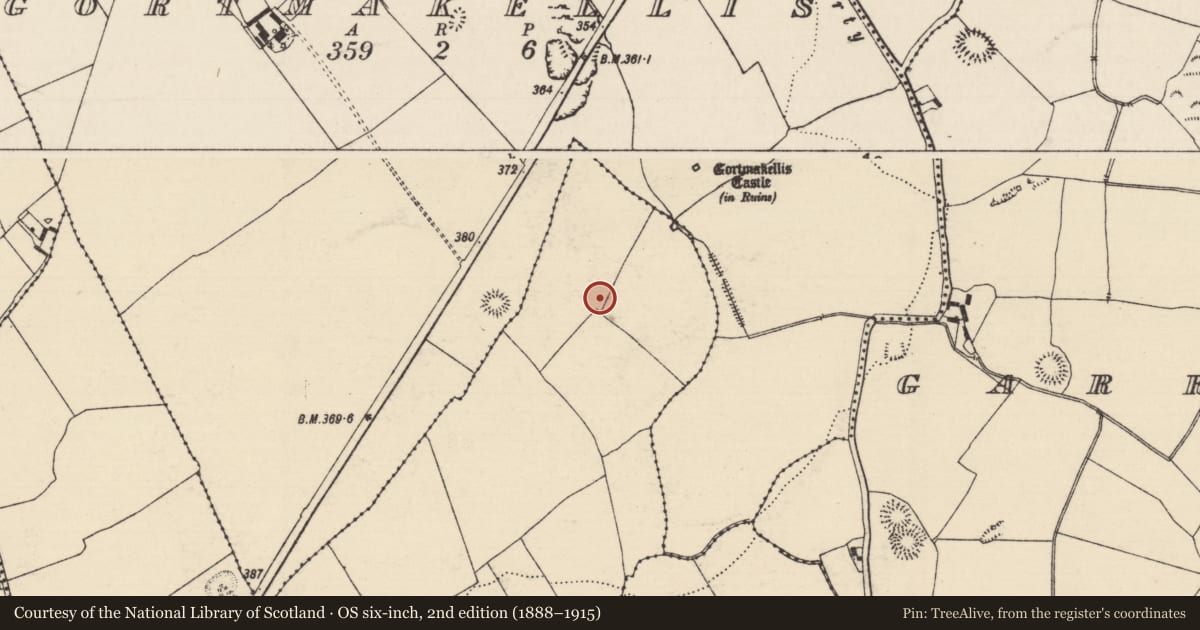 Ordnance Survey six-inch map, 2nd edition (1888–1915) covering the location of House - prehistoric, Ballyknock, County Tipperary South, with a pin at the register's coordinates