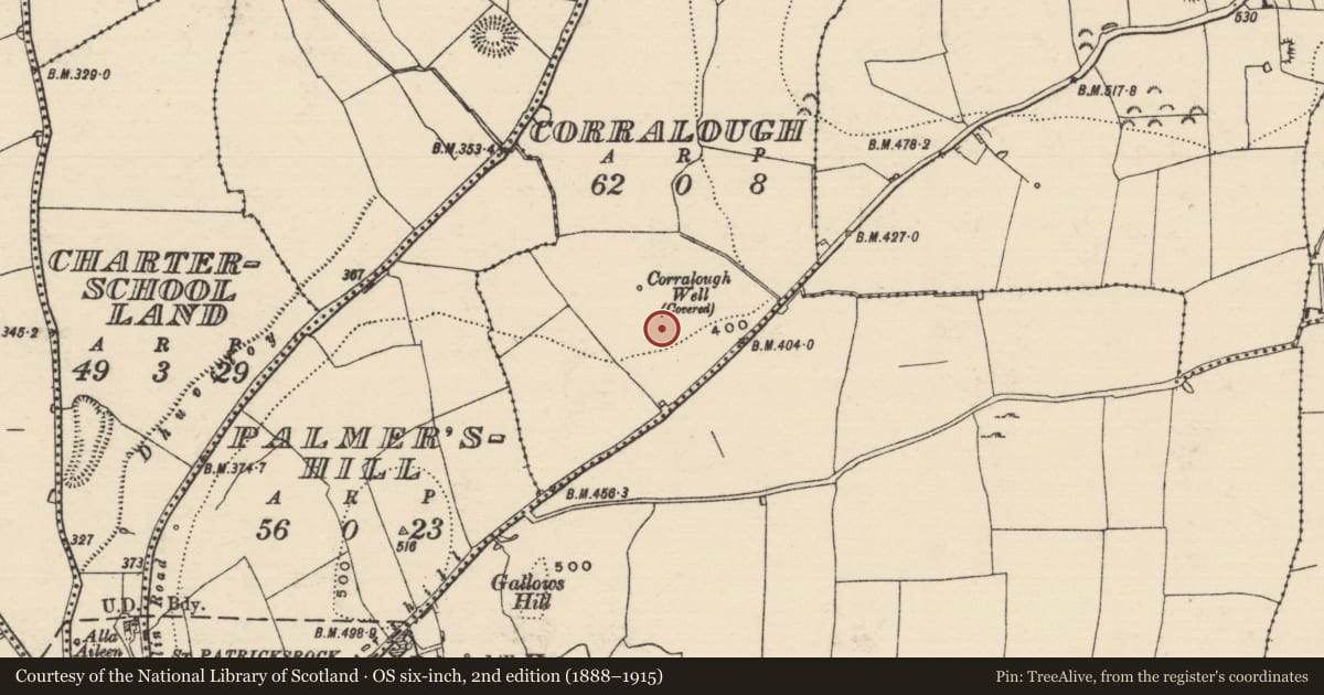 Ordnance Survey six-inch map, 2nd edition (1888–1915) covering the location of Standing stone, Corralough, County Tipperary South, with a pin at the register's coordinates