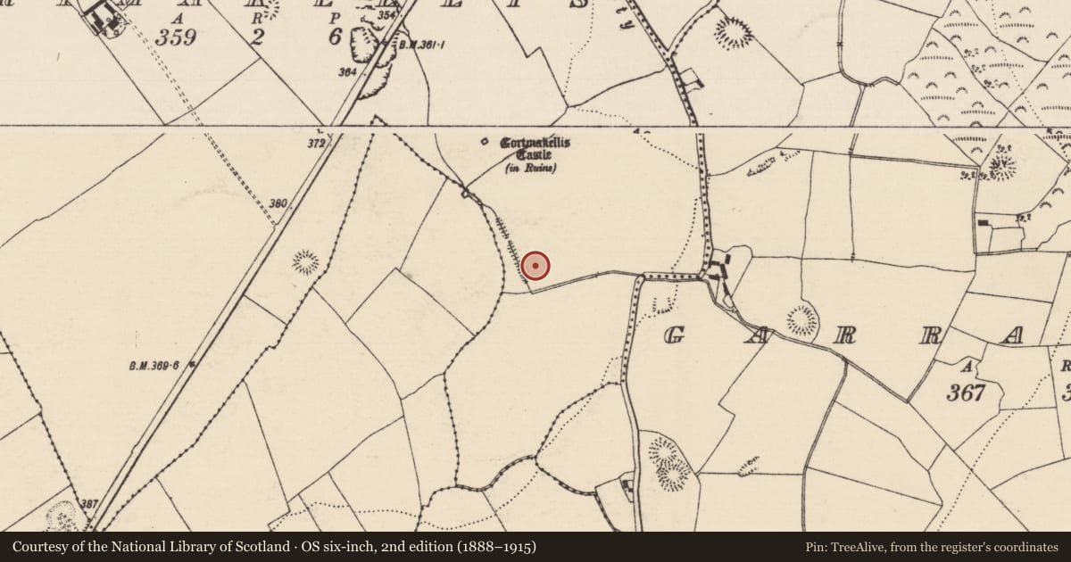 Ordnance Survey six-inch map, 2nd edition (1888–1915) covering the location of Burnt spread, Gortmakellis, County Tipperary South, with a pin at the register's coordinates