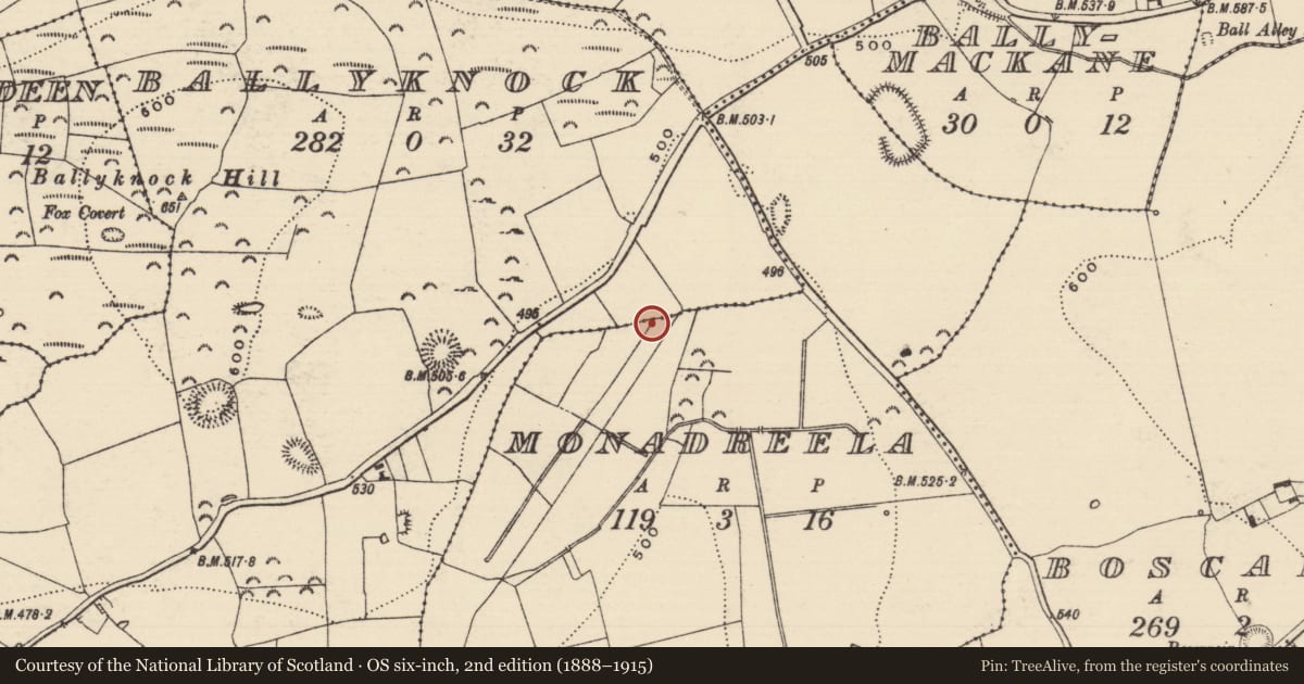 Ordnance Survey six-inch map, 2nd edition (1888–1915) covering the location of Burnt pit, Monadreela, County Tipperary South, with a pin at the register's coordinates