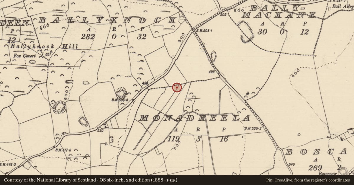 Ordnance Survey six-inch map, 2nd edition (1888–1915) covering the location of Burnt pit, Monadreela, County Tipperary South, with a pin at the register's coordinates