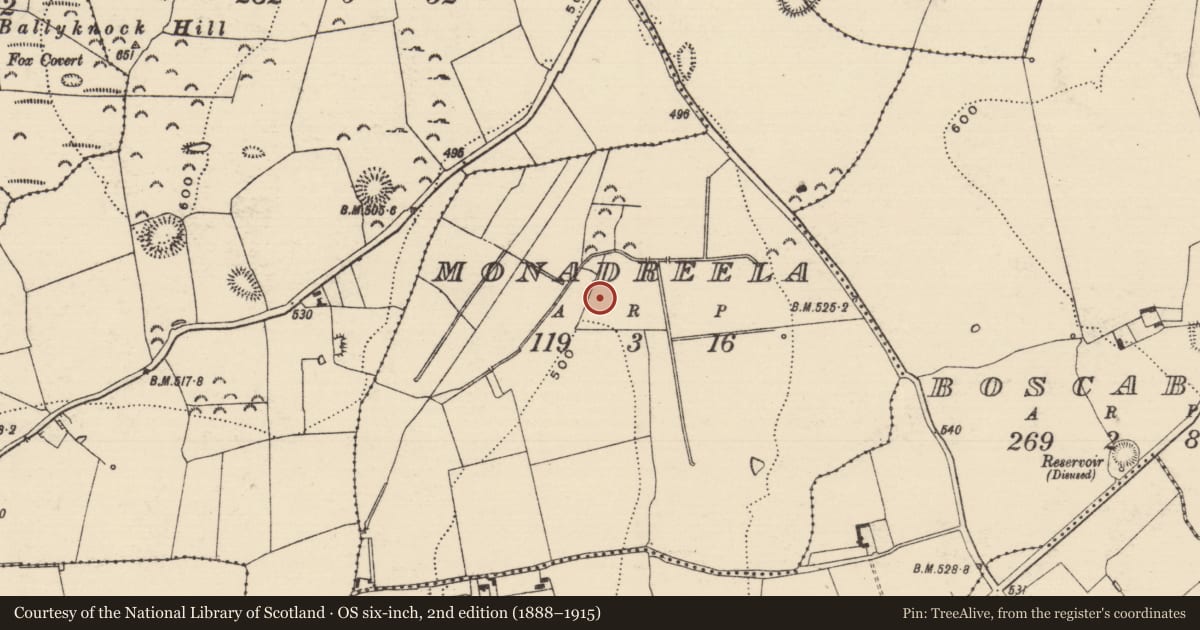 Ordnance Survey six-inch map, 2nd edition (1888–1915) covering the location of Pit-burial, Monadreela, County Tipperary South, with a pin at the register's coordinates