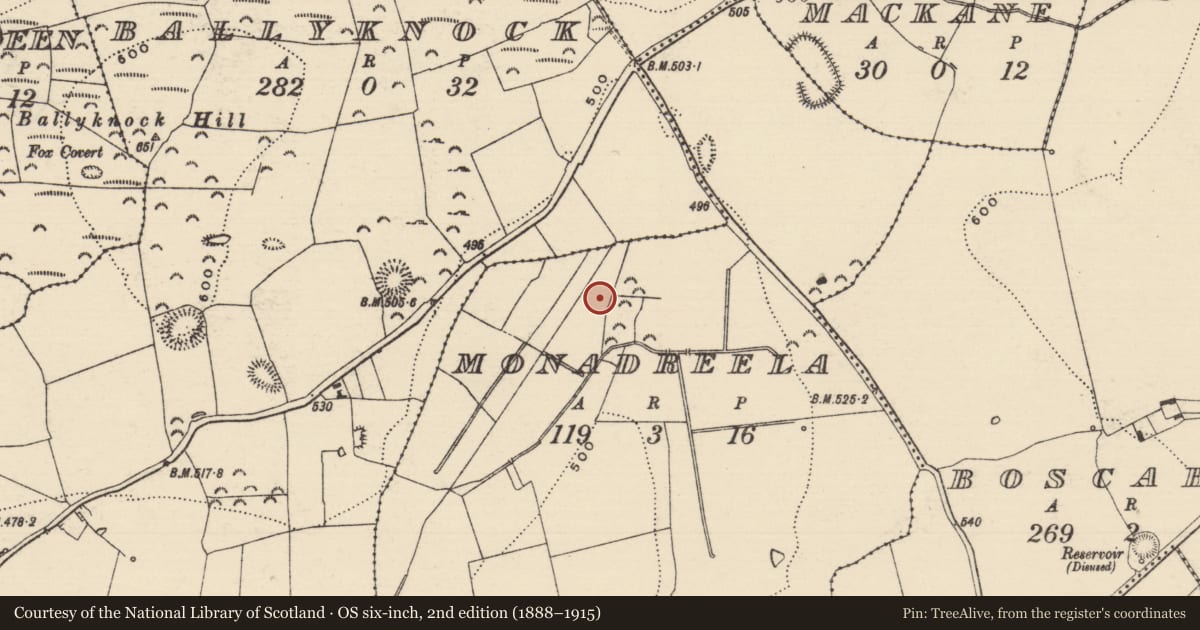 Ordnance Survey six-inch map, 2nd edition (1888–1915) covering the location of Ring-ditch, Monadreela, County Tipperary South, with a pin at the register's coordinates