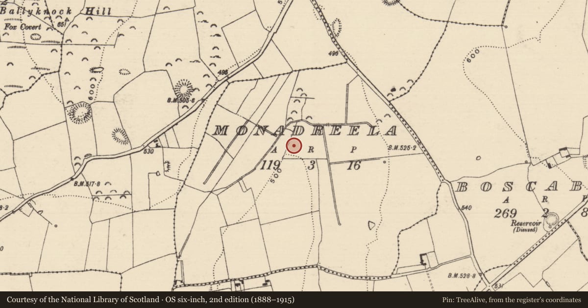 Ordnance Survey six-inch map, 2nd edition (1888–1915) covering the location of Pit-burial, Monadreela, County Tipperary South, with a pin at the register's coordinates