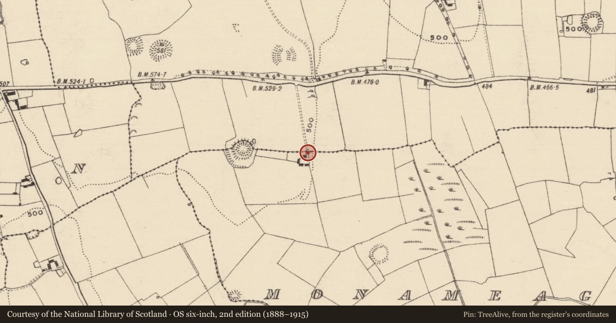 Ordnance Survey six-inch map, 2nd edition (1888–1915) covering the location of Memorial stone (present location), Brickendown, Monameagh, County Tipperary South, with a pin at the register's coordinates