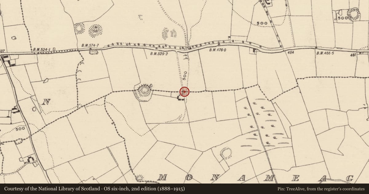 Ordnance Survey six-inch map, 2nd edition (1888–1915) covering the location of Cross - Wayside cross (present location), Brickendown, County Tipperary South, with a pin at the register's coordinates