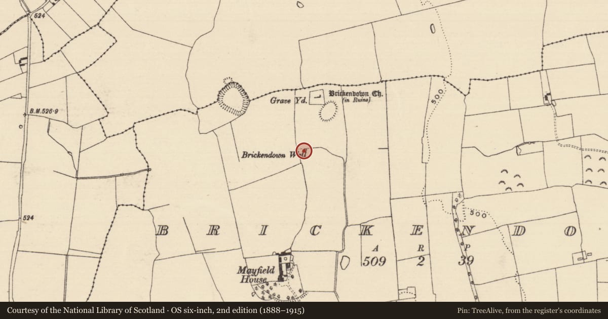 Ordnance Survey six-inch map, 2nd edition (1888–1915) covering the location of Ritual site - holy well, Brickendown, County Tipperary South, with a pin at the register's coordinates