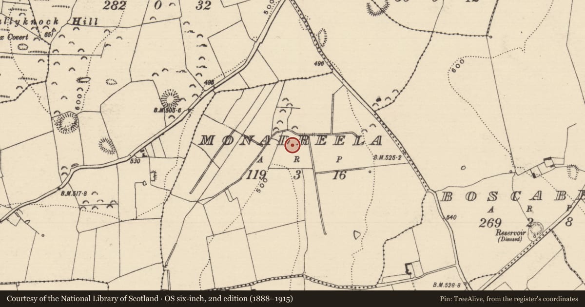 Ordnance Survey six-inch map, 2nd edition (1888–1915) covering the location of Kiln, Monadreela, County Tipperary South, with a pin at the register's coordinates