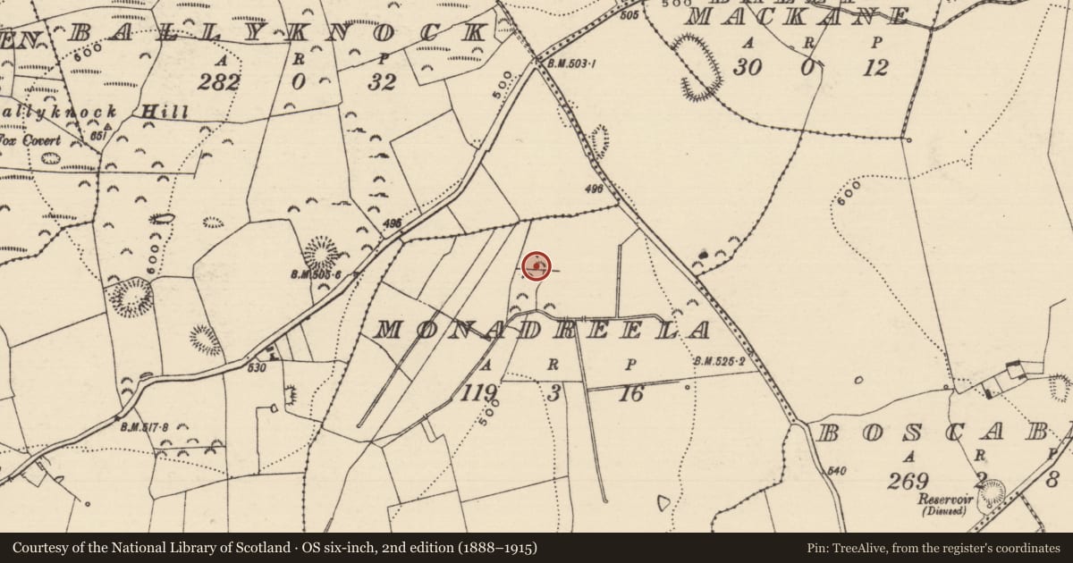 Ordnance Survey six-inch map, 2nd edition (1888–1915) covering the location of Fulacht fia, Monadreela, County Tipperary South, with a pin at the register's coordinates