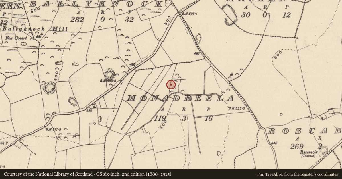 Ordnance Survey six-inch map, 2nd edition (1888–1915) covering the location of Kiln - corn-drying, Monadreela, County Tipperary South, with a pin at the register's coordinates