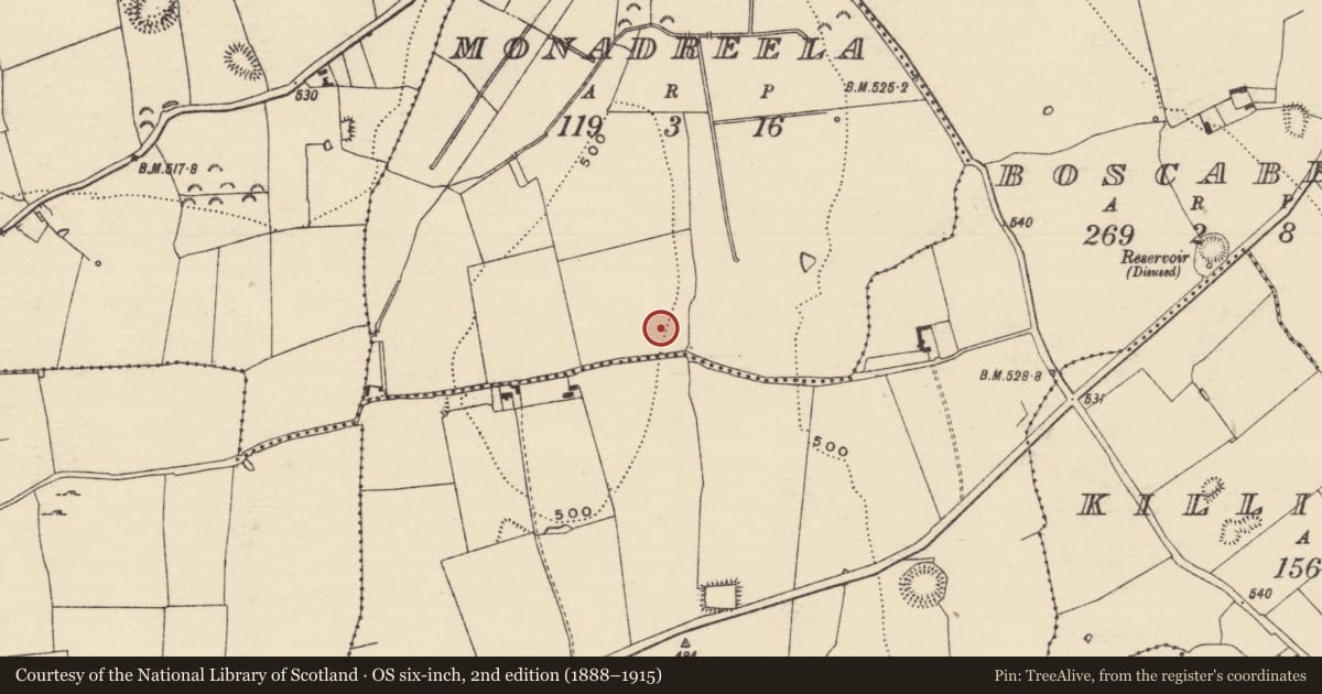 Ordnance Survey six-inch map, 2nd edition (1888–1915) covering the location of Excavation - miscellaneous, Monadreela, County Tipperary South, with a pin at the register's coordinates