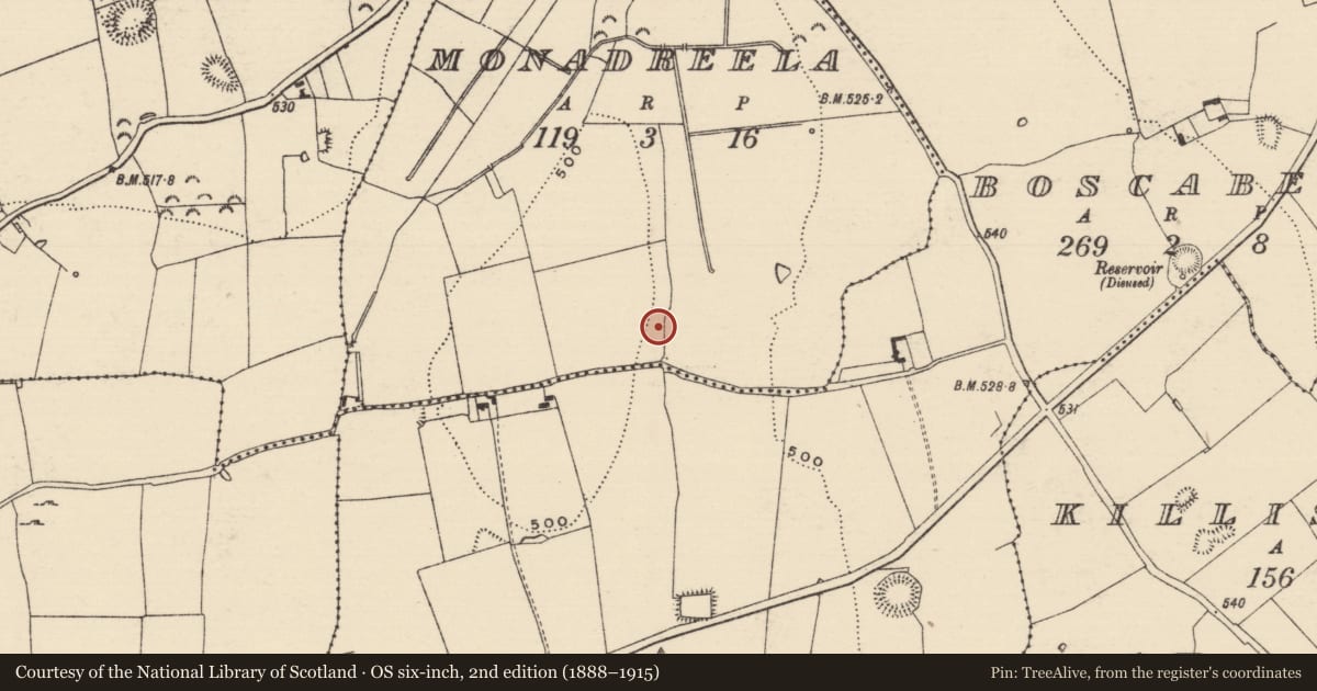 Ordnance Survey six-inch map, 2nd edition (1888–1915) covering the location of Excavation - miscellaneous, Monadreela, County Tipperary South, with a pin at the register's coordinates