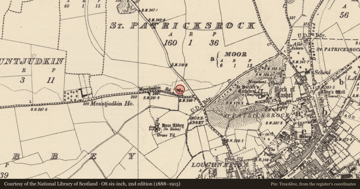 Ordnance Survey six-inch map, 2nd edition (1888–1915) covering the location of Architectural fragment, St. Patricksrock, County Tipperary South, with a pin at the register's coordinates