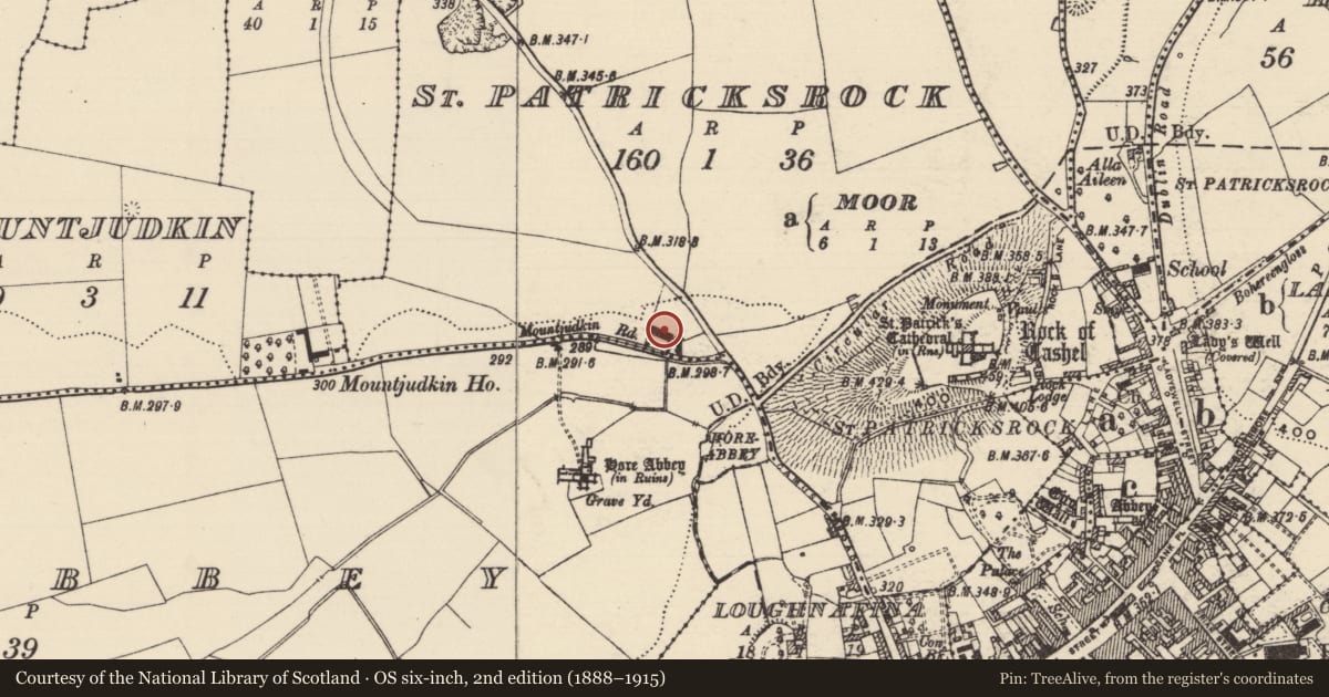 Ordnance Survey six-inch map, 2nd edition (1888–1915) covering the location of Architectural fragment, St. Patricksrock, County Tipperary South, with a pin at the register's coordinates