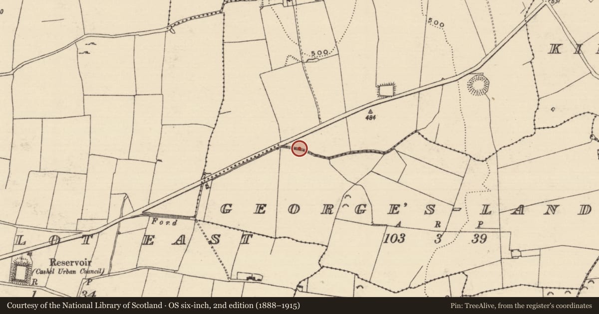 Ordnance Survey six-inch map, 2nd edition (1888–1915) covering the location of Architectural fragment, Boscabell, County Tipperary South, with a pin at the register's coordinates