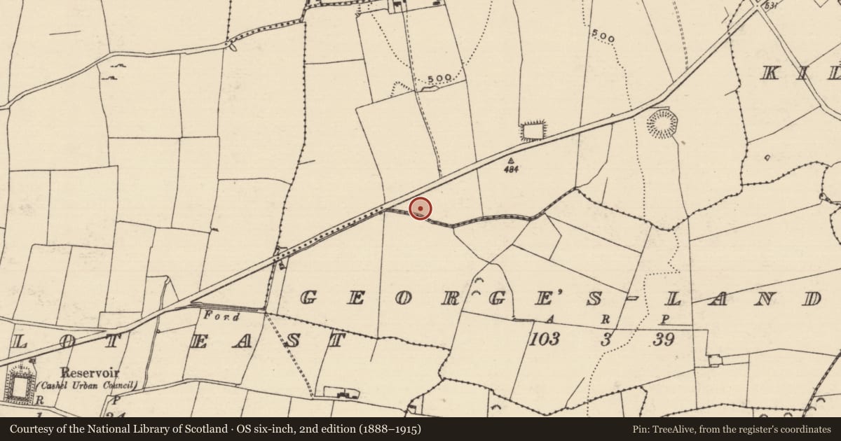 Ordnance Survey six-inch map, 2nd edition (1888–1915) covering the location of Architectural feature, Boscabell, County Tipperary South, with a pin at the register's coordinates