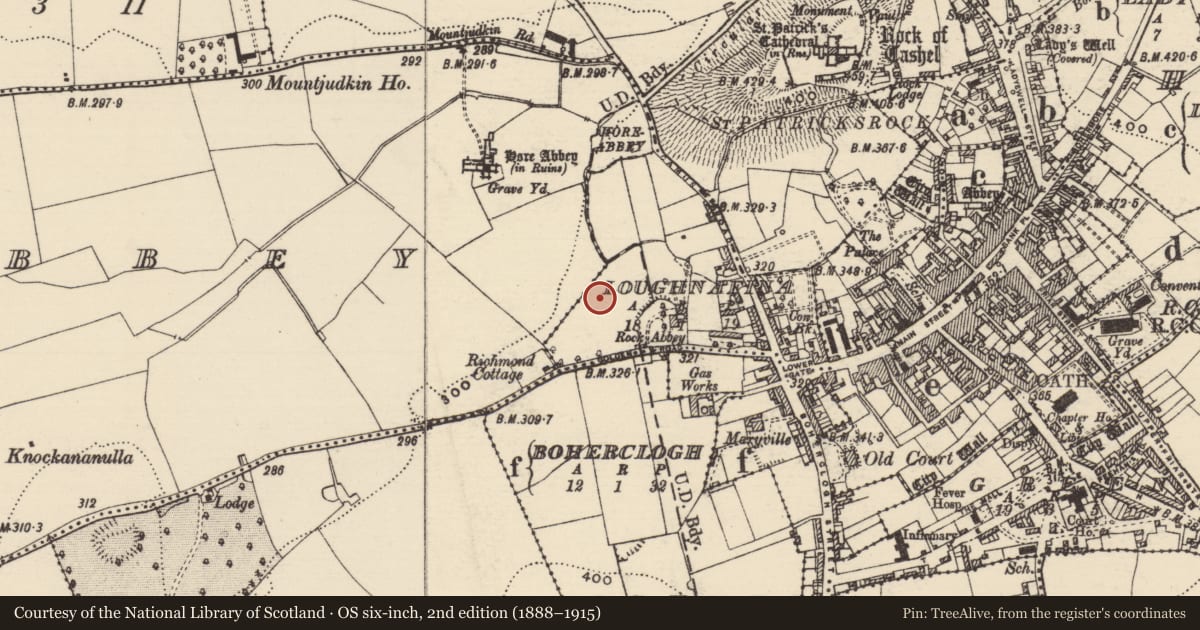 Ordnance Survey six-inch map, 2nd edition (1888–1915) covering the location of Enclosure, Horeabbey, Loughnafina, County Tipperary South, with a pin at the register's coordinates