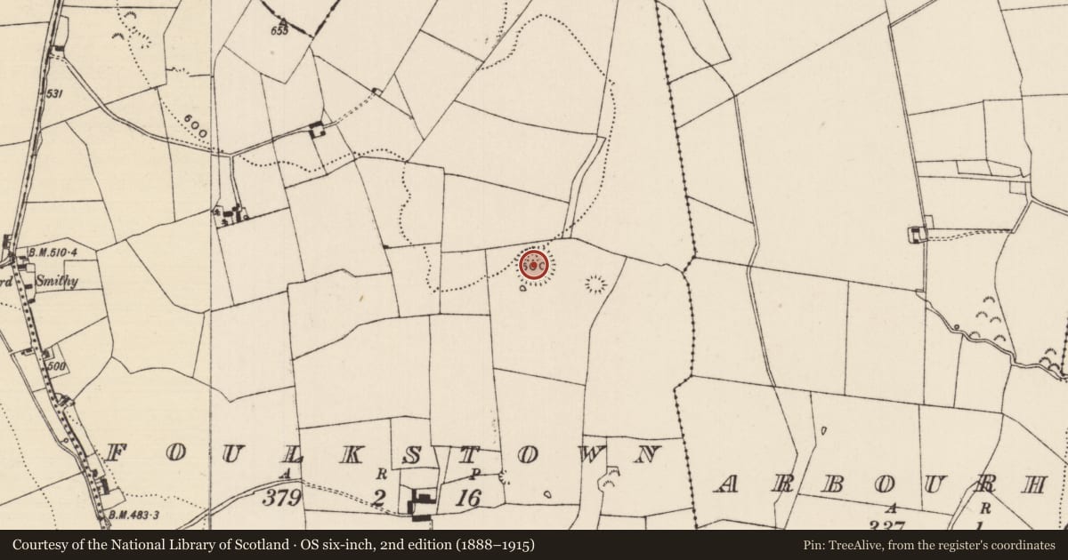 Ordnance Survey six-inch map, 2nd edition (1888–1915) covering the location of Ringfort - rath, Foulkstown, County Tipperary South, with a pin at the register's coordinates