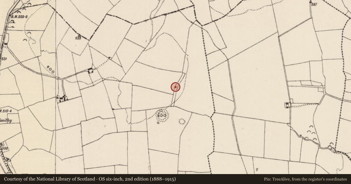 Ordnance Survey six-inch map, 2nd edition (1888–1915) covering the location of Road - road/trackway, Foulkstown, County Tipperary South, with a pin at the register's coordinates