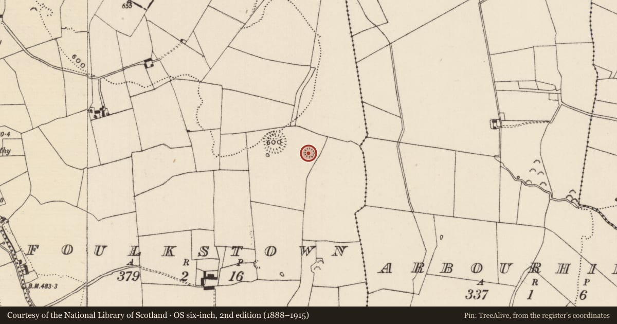 Ordnance Survey six-inch map, 2nd edition (1888–1915) covering the location of Barrow - unclassified, Foulkstown, County Tipperary South, with a pin at the register's coordinates
