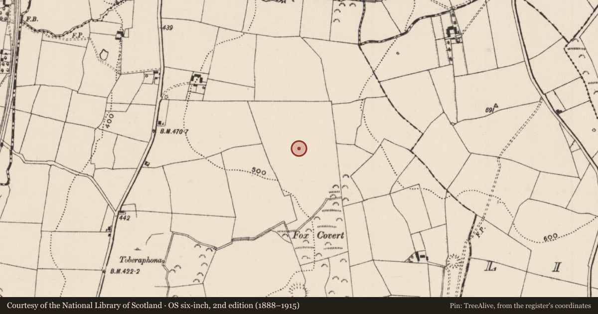 Ordnance Survey six-inch map, 2nd edition (1888–1915) covering the location of Enclosure - large enclosure, Knockanglass (Killenaule Par.), County Tipperary South, with a pin at the register's coordinates
