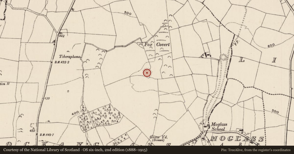 Ordnance Survey six-inch map, 2nd edition (1888–1915) covering the location of Ringfort - rath, Knockanglass (Killenaule Par.), County Tipperary South, with a pin at the register's coordinates