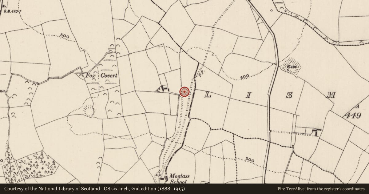 Ordnance Survey six-inch map, 2nd edition (1888–1915) covering the location of Enclosure, Knockanglass (Killenaule Par.), County Tipperary South, with a pin at the register's coordinates