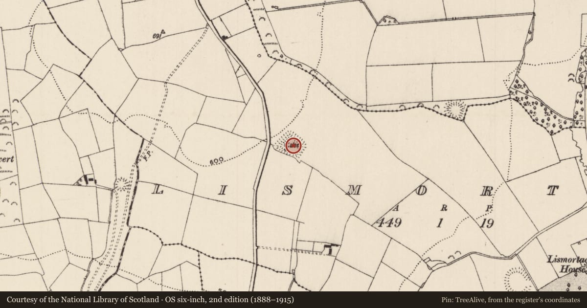Ordnance Survey six-inch map, 2nd edition (1888–1915) covering the location of Moated site, Lismortagh, County Tipperary South, with a pin at the register's coordinates