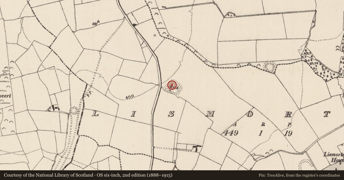 Ordnance Survey six-inch map, 2nd edition (1888–1915) covering the location of House - medieval, Lismortagh, County Tipperary South, with a pin at the register's coordinates