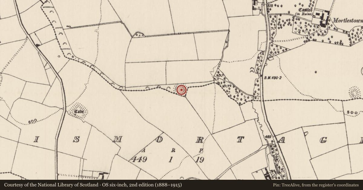 Ordnance Survey six-inch map, 2nd edition (1888–1915) covering the location of Ringfort - rath, Lismortagh, Mortlestown (Cooleagh Par.), County Tipperary South, with a pin at the register's coordinates
