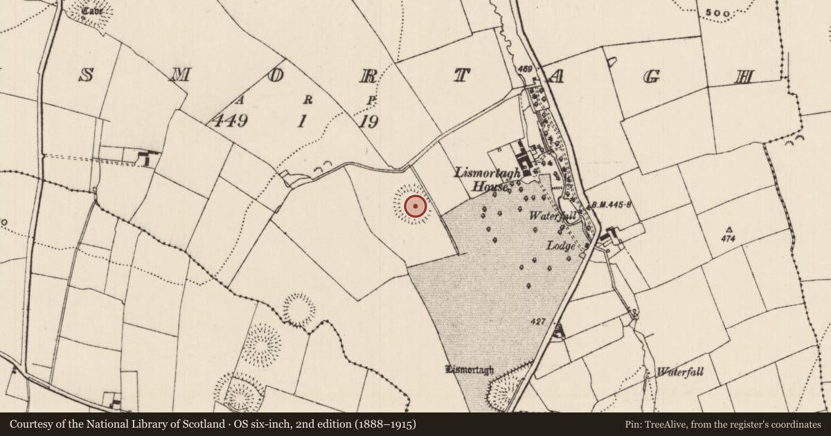 Ordnance Survey six-inch map, 2nd edition (1888–1915) covering the location of Barrow - ring-barrow, Lismortagh, County Tipperary South, with a pin at the register's coordinates