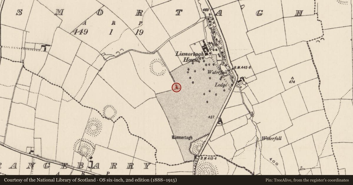 Ordnance Survey six-inch map, 2nd edition (1888–1915) covering the location of Enclosure - large enclosure, Lismortagh, County Tipperary South, with a pin at the register's coordinates