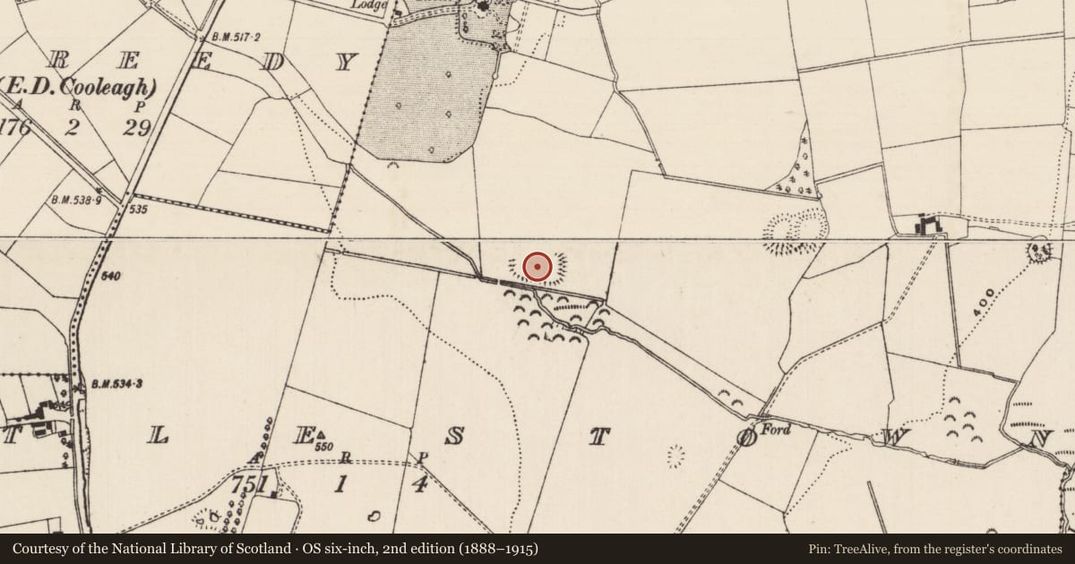 Ordnance Survey six-inch map, 2nd edition (1888–1915) covering the location of Moated site, Mortlestown (Cooleagh Par.), County Tipperary South, with a pin at the register's coordinates