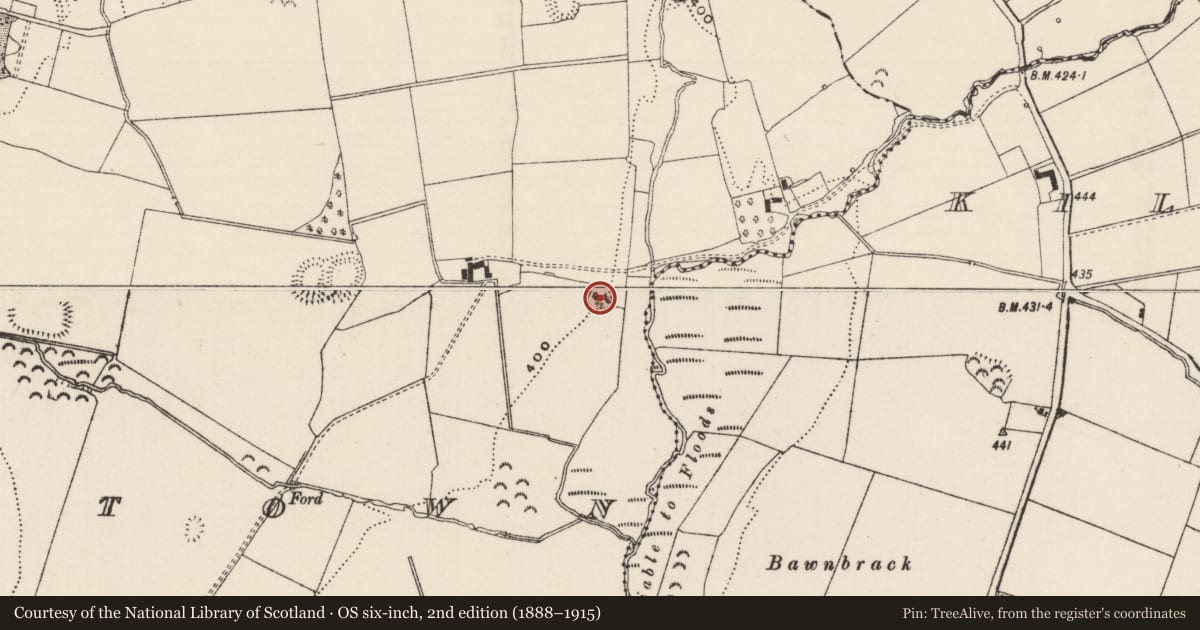 Ordnance Survey six-inch map, 2nd edition (1888–1915) covering the location of Designed landscape - tree-ring, Mortlestown (Cooleagh Par.), County Tipperary South, with a pin at the register's coordinates