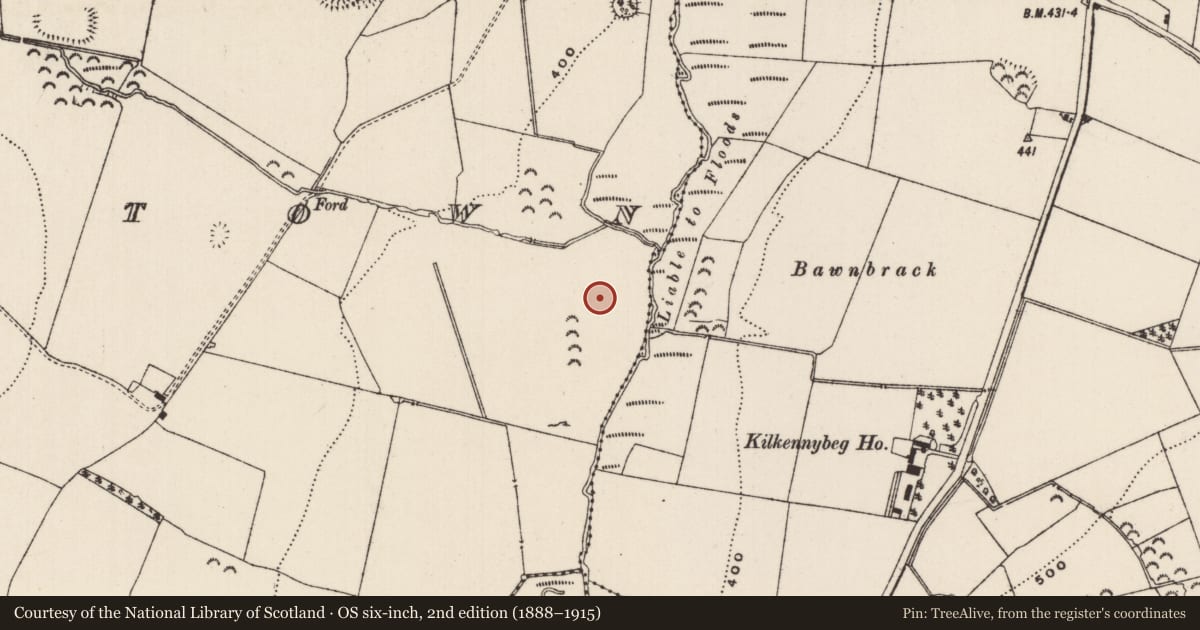 Ordnance Survey six-inch map, 2nd edition (1888–1915) covering the location of Settlement deserted - medieval, Mortlestown (Cooleagh Par.), County Tipperary South, with a pin at the register's coordinates