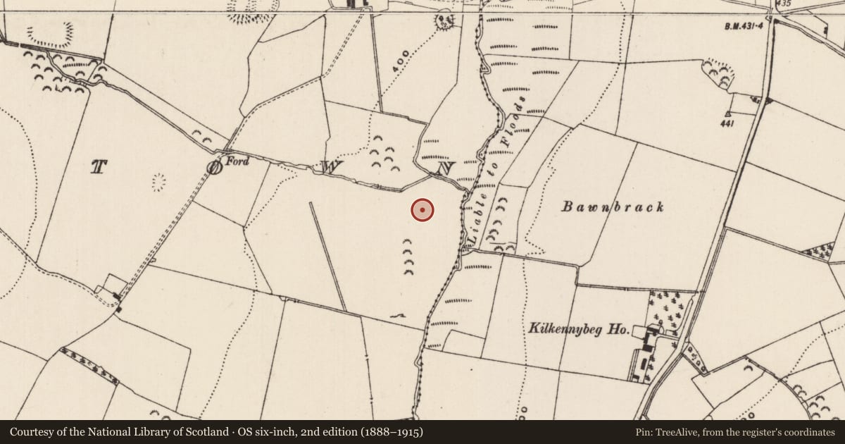 Ordnance Survey six-inch map, 2nd edition (1888–1915) covering the location of House - medieval, Mortlestown (Cooleagh Par.), County Tipperary South, with a pin at the register's coordinates